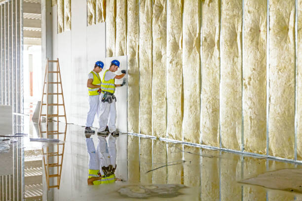 Types of Insulation We Offer in Woodsboro, TX